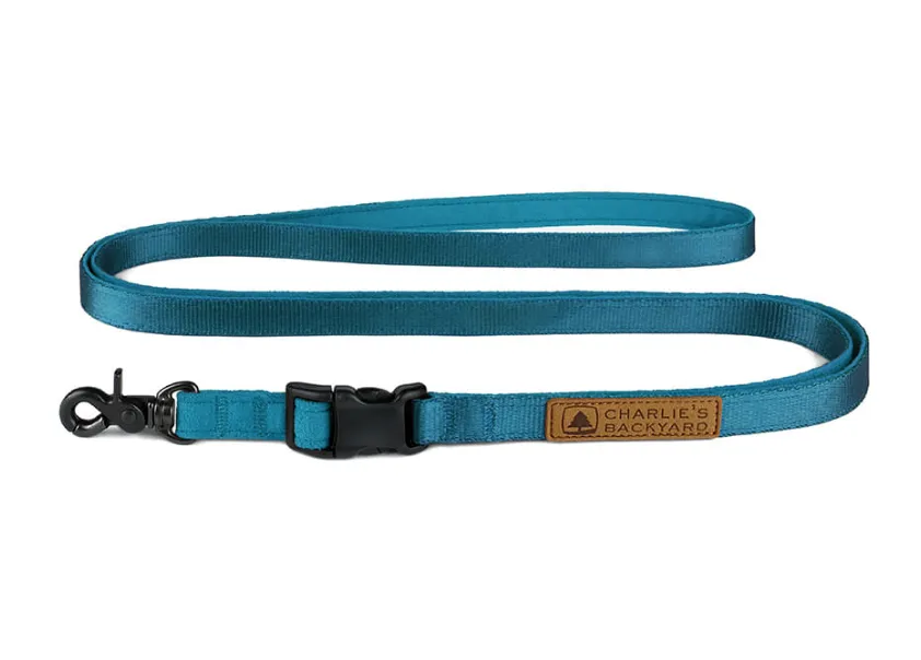 Adjustable Easy Dog Leash in Teal