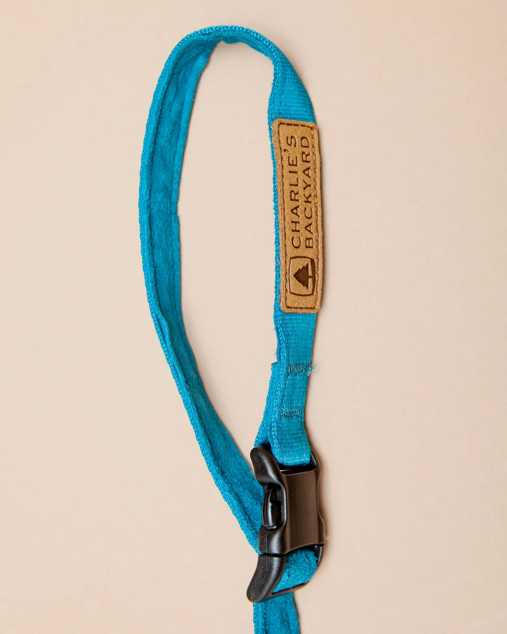 Adjustable Easy Dog Leash in Teal