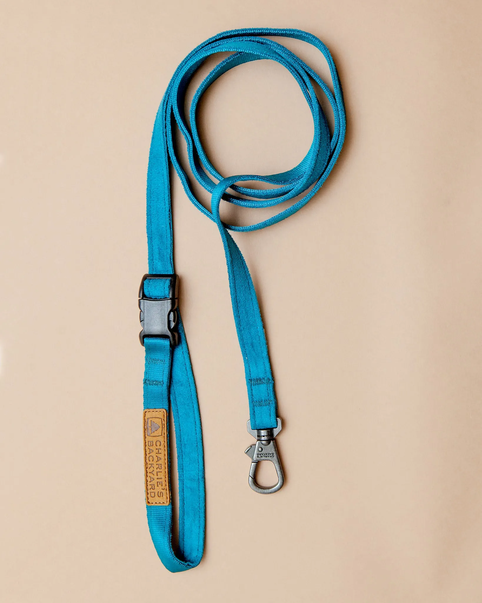 Adjustable Easy Dog Leash in Teal
