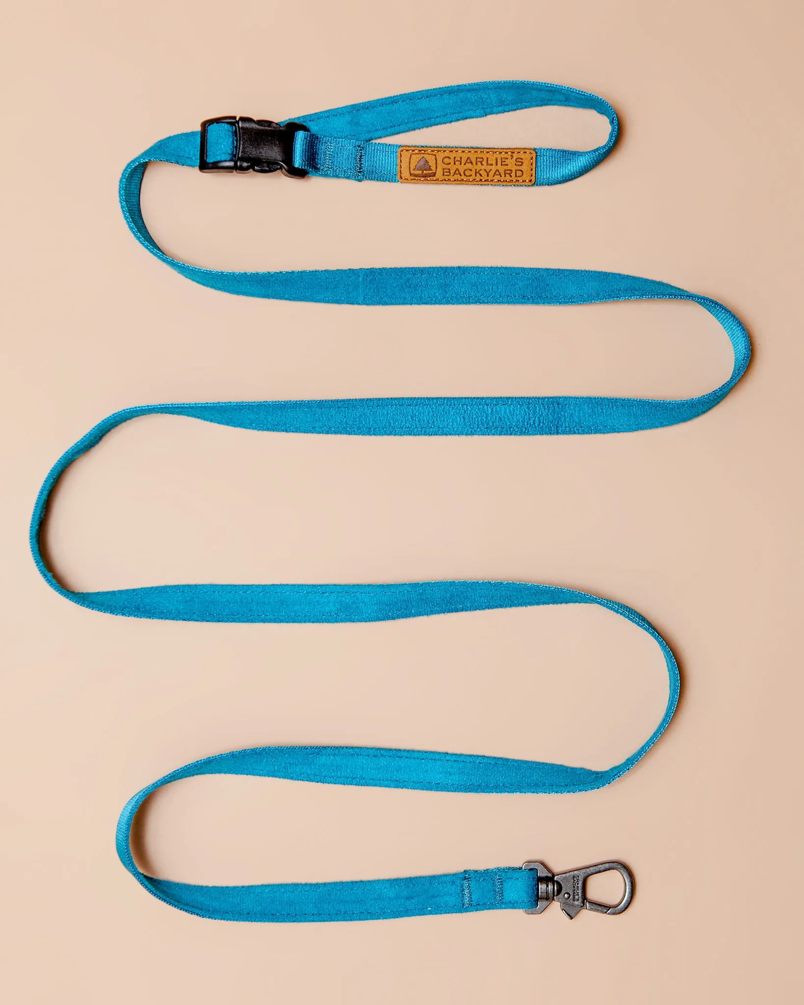 Adjustable Easy Dog Leash in Teal