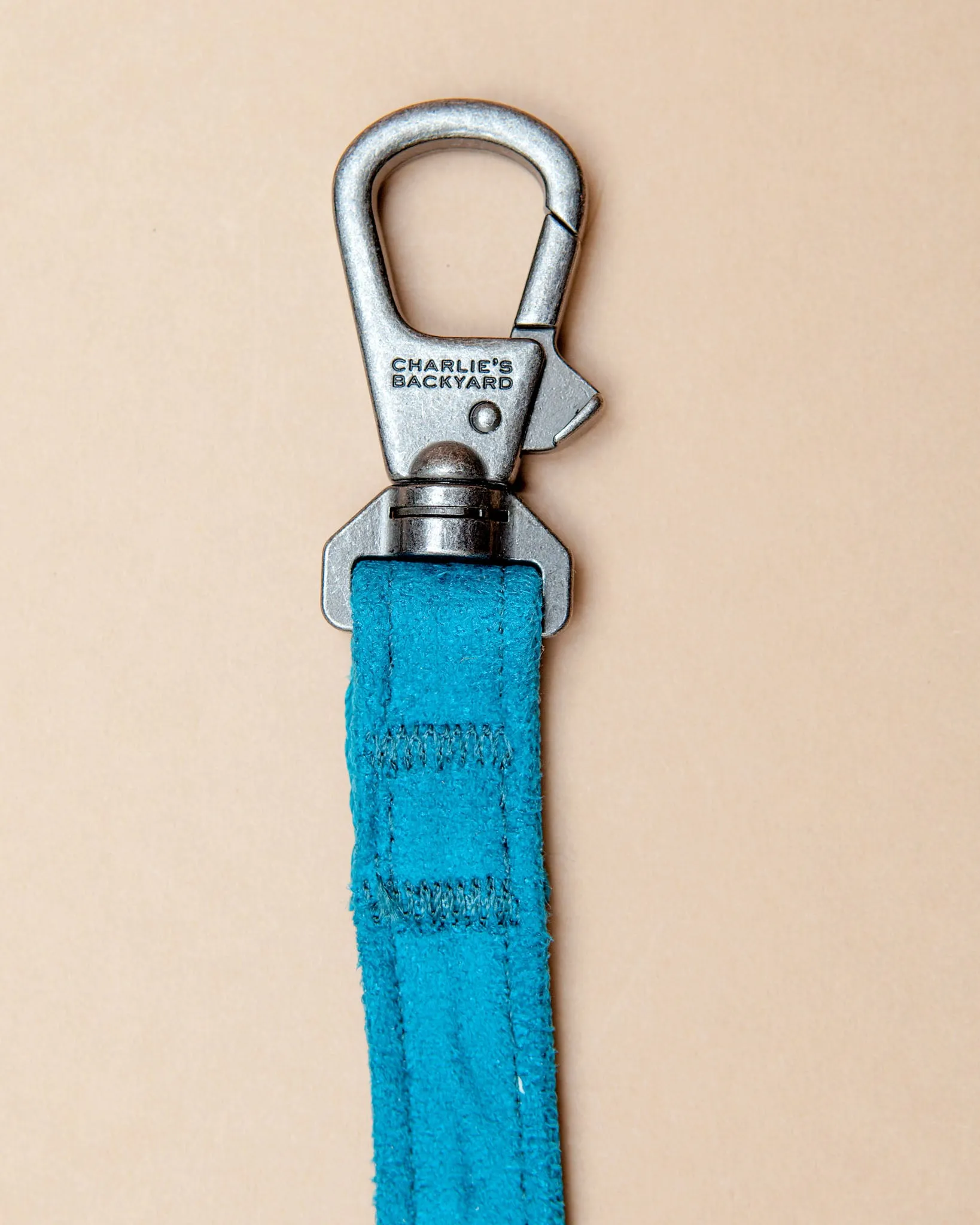 Adjustable Easy Dog Leash in Teal
