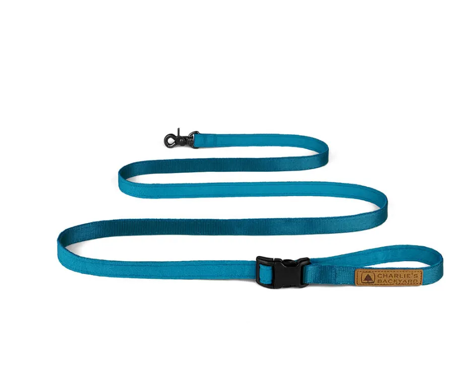 Adjustable Easy Dog Leash in Teal