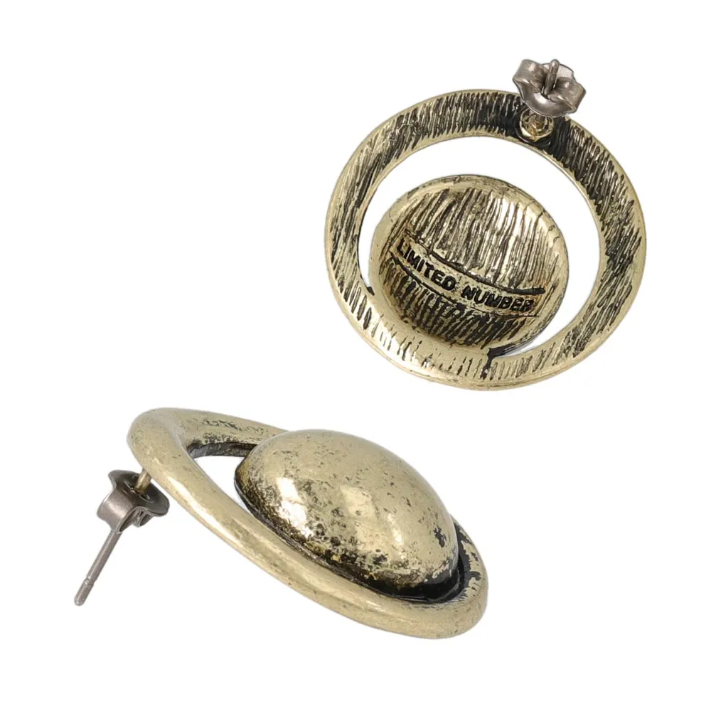 Chunky Circle Titanium Earrings