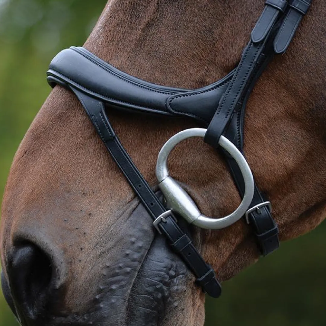 Collegiate ComfiTec Vogue Anatomical Bridle