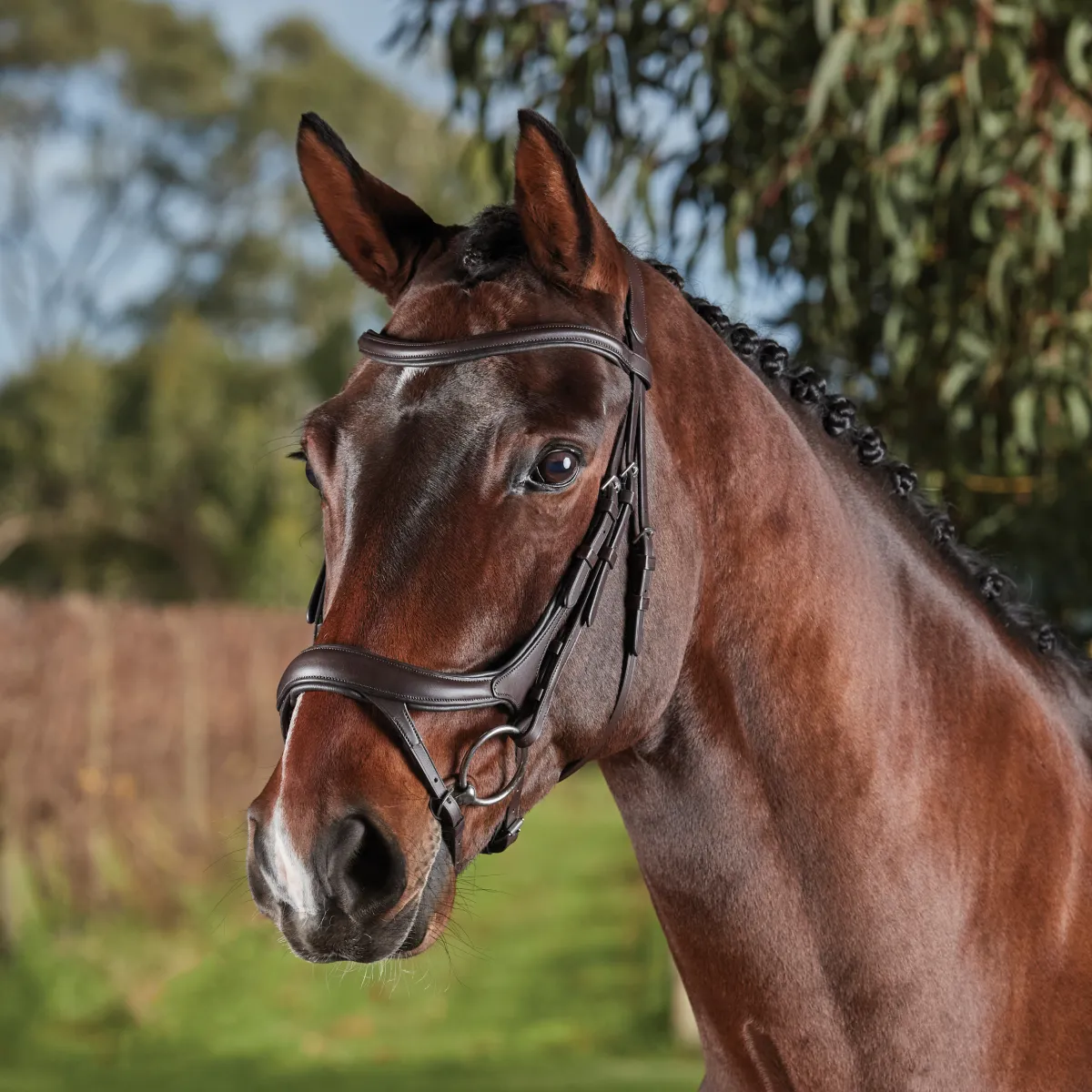 Collegiate ComfiTec Vogue Anatomical Bridle