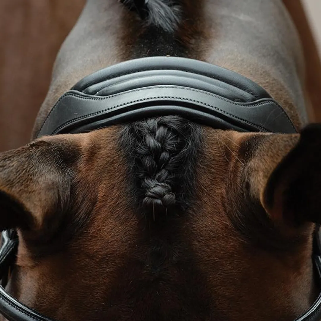 Collegiate ComfiTec Vogue Anatomical Bridle
