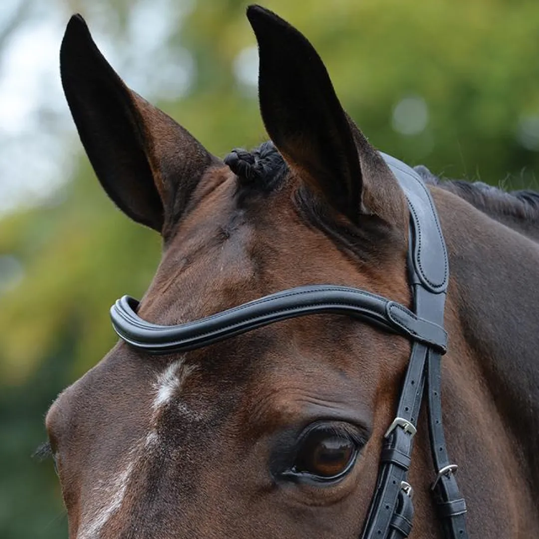 Collegiate ComfiTec Vogue Anatomical Bridle
