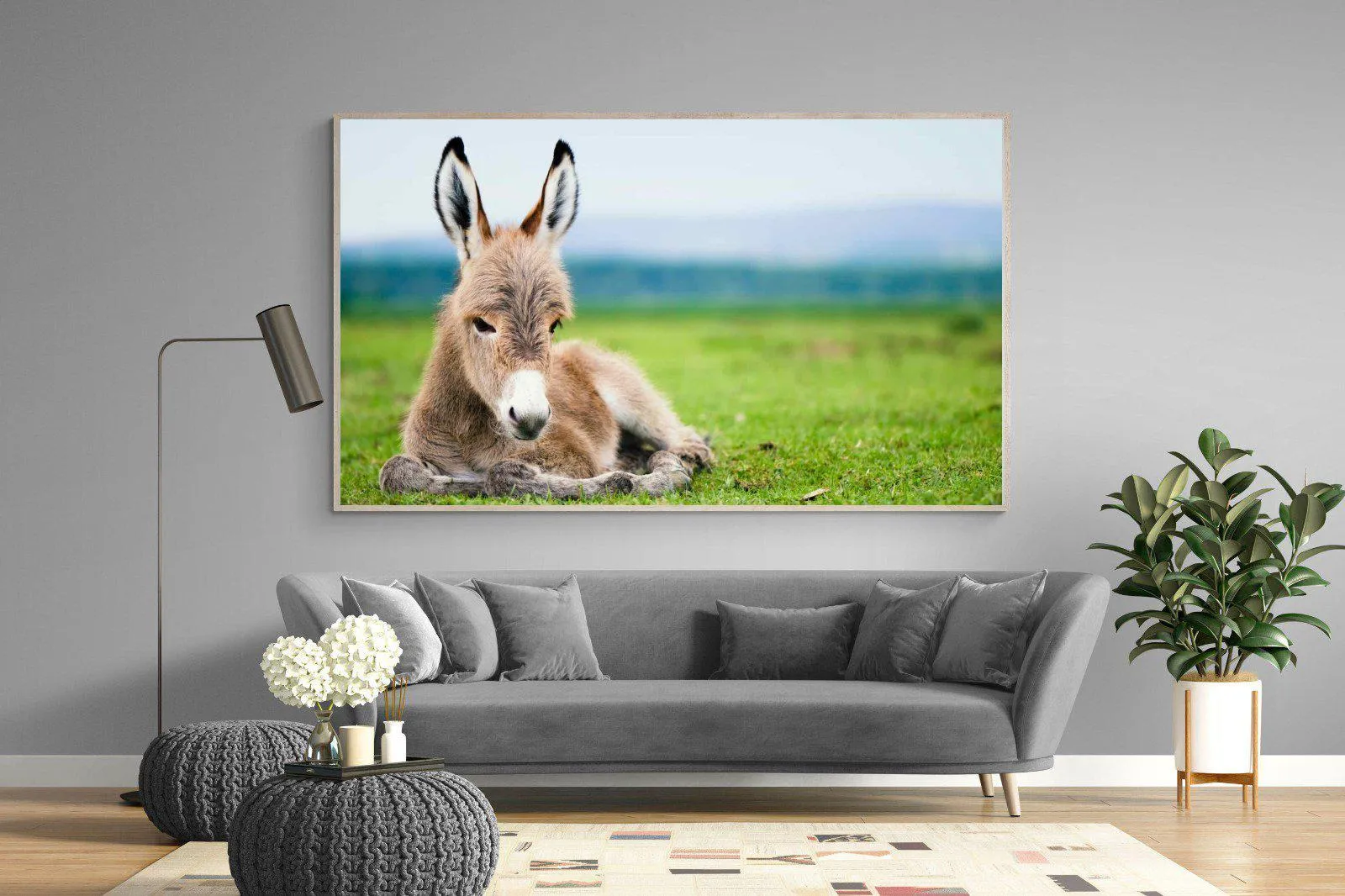 Donkey Foal