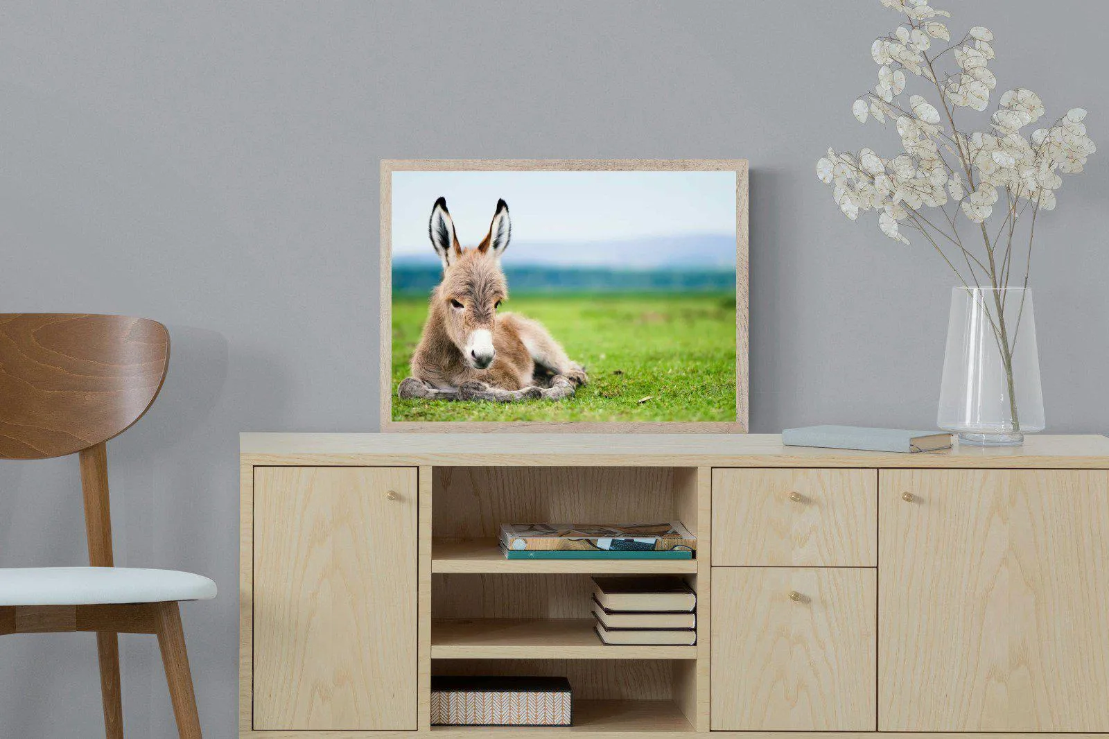 Donkey Foal