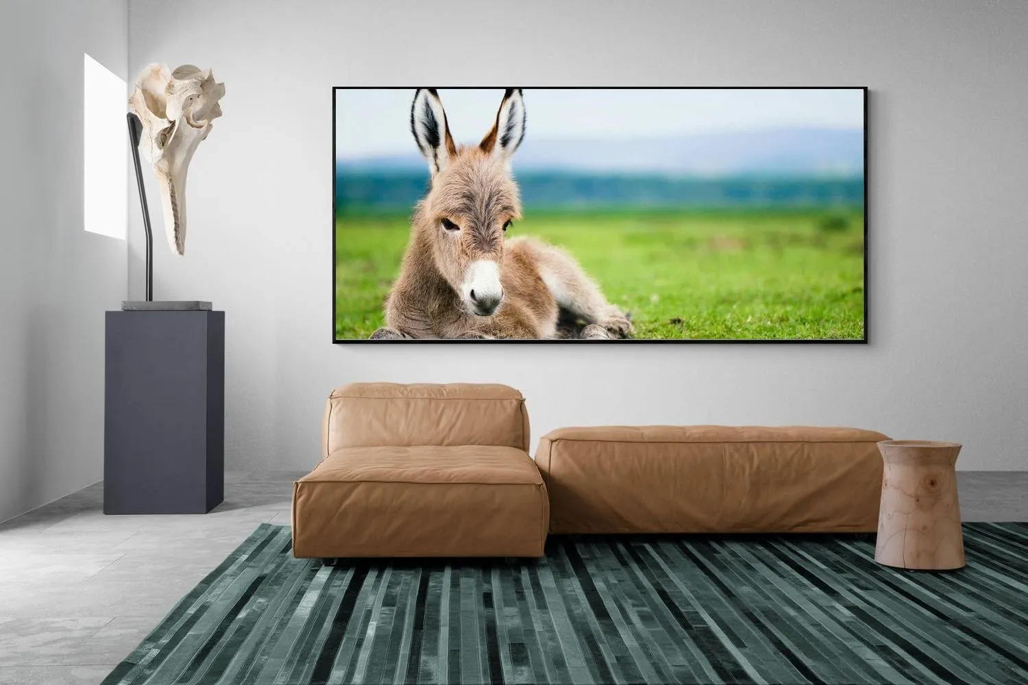 Donkey Foal