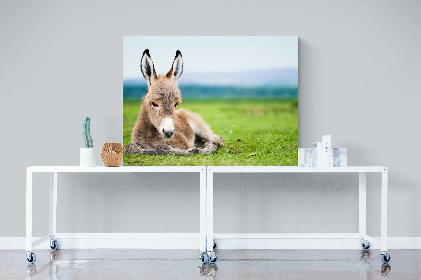 Donkey Foal