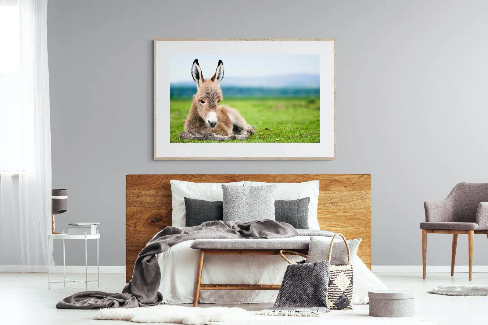 Donkey Foal