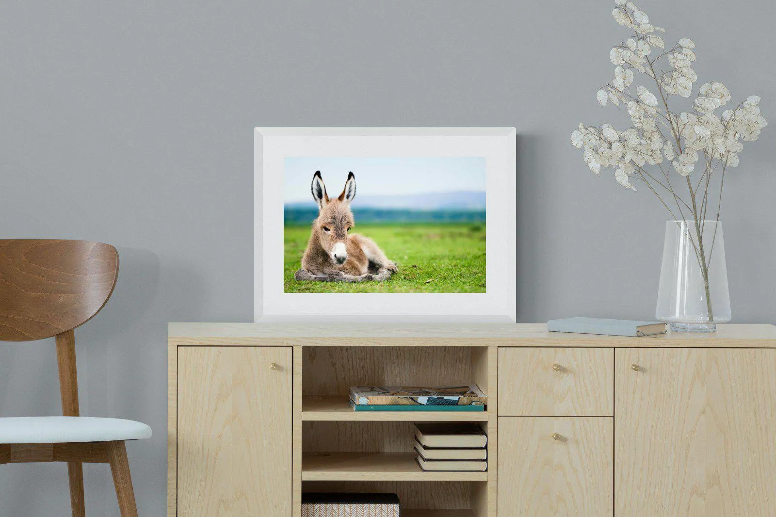 Donkey Foal