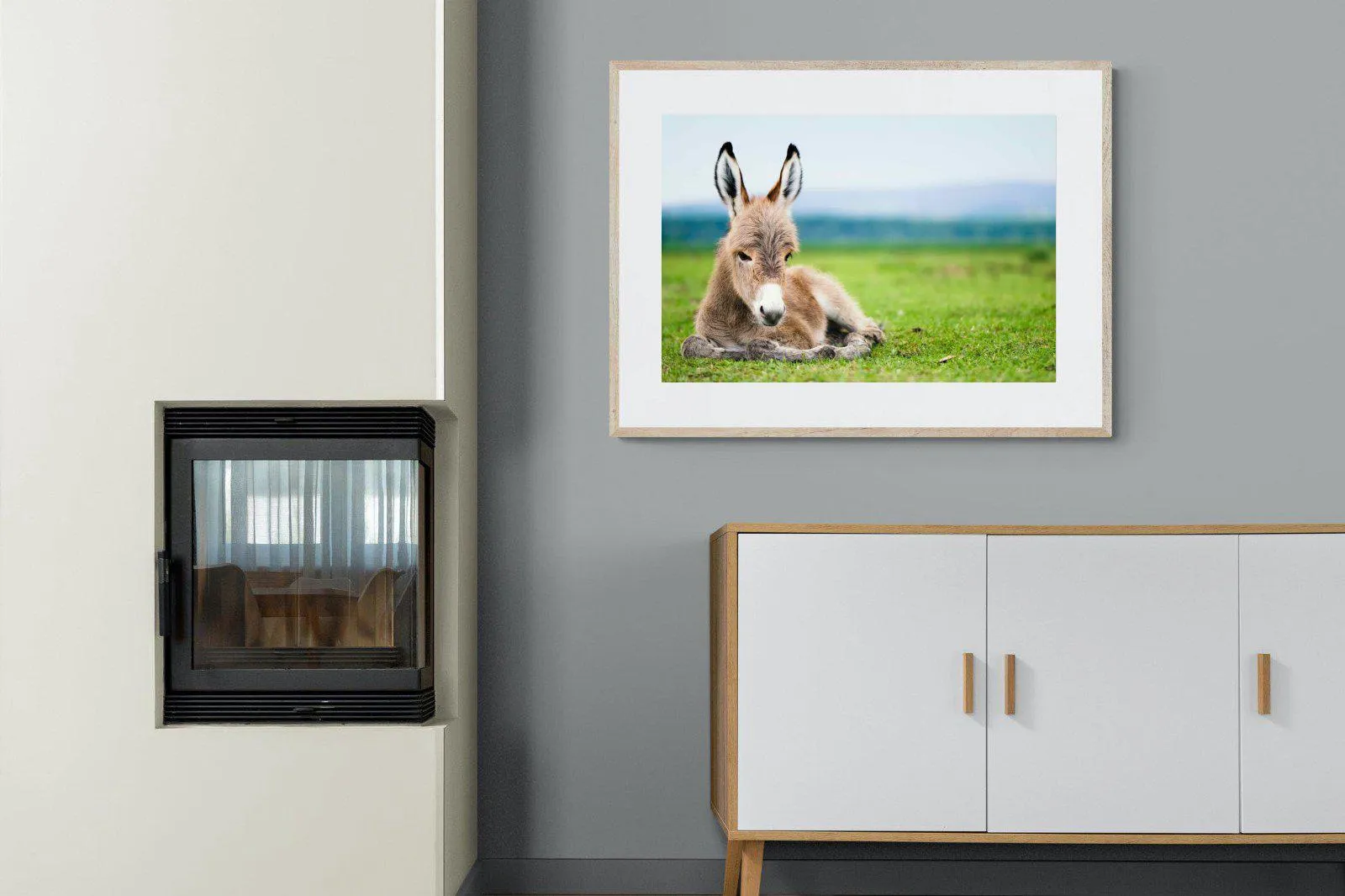 Donkey Foal