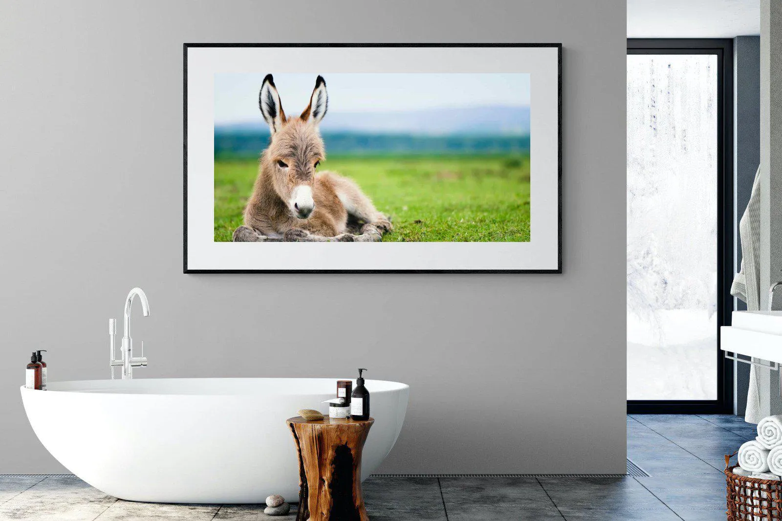 Donkey Foal