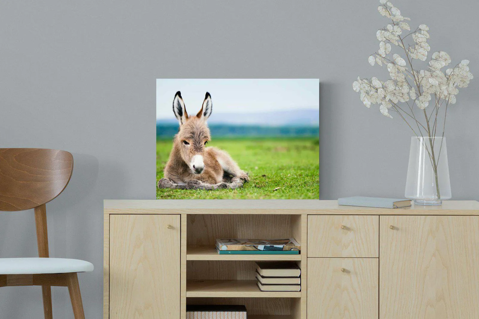 Donkey Foal