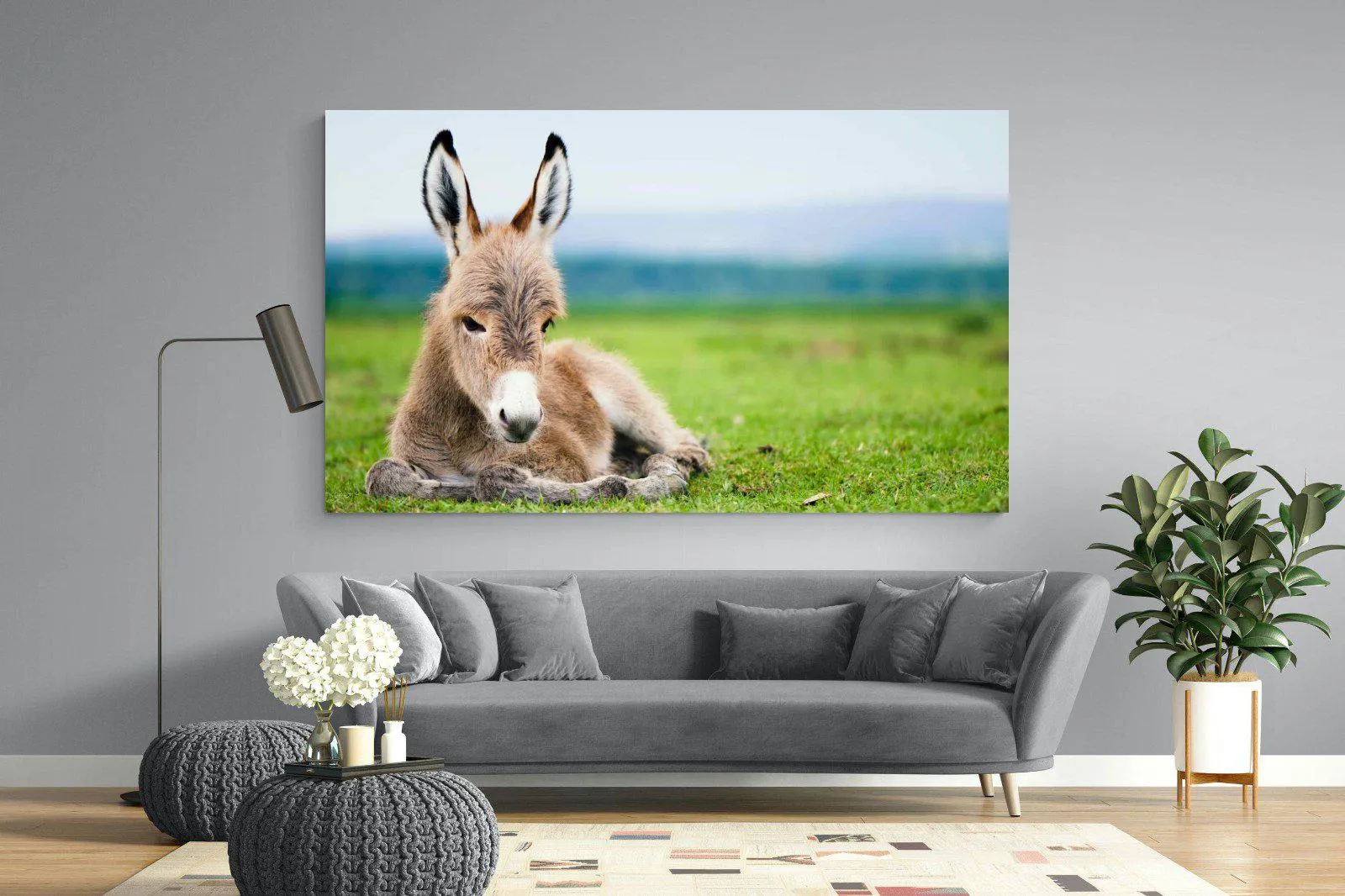 Donkey Foal