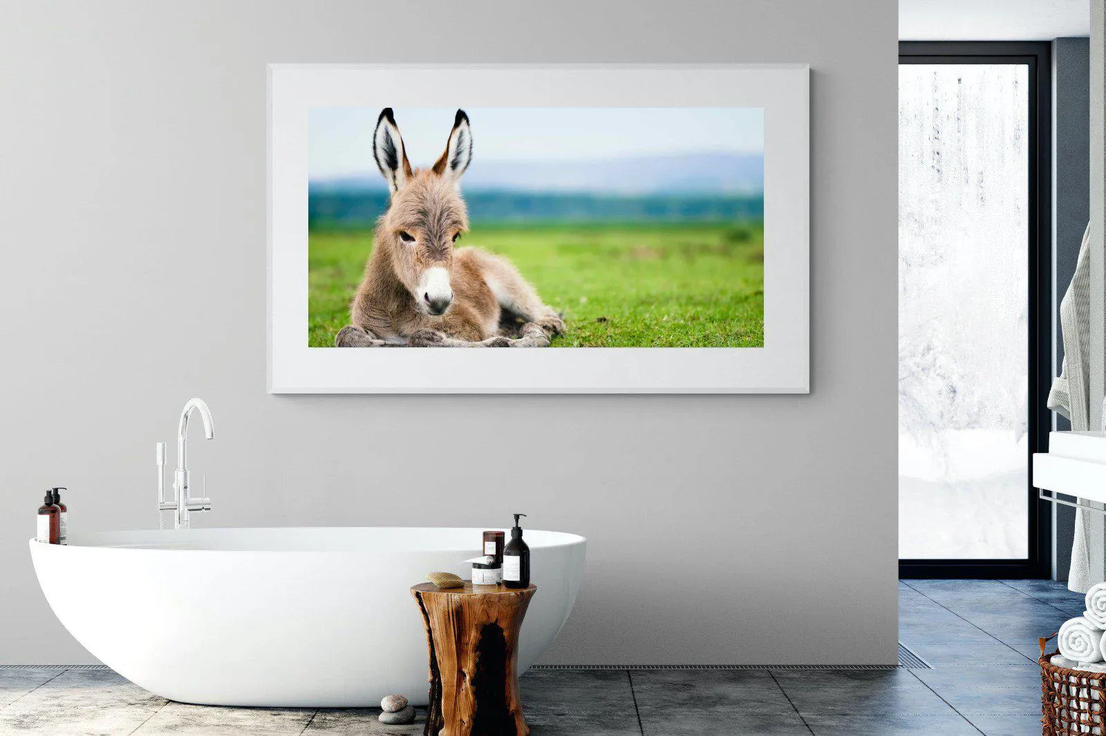 Donkey Foal