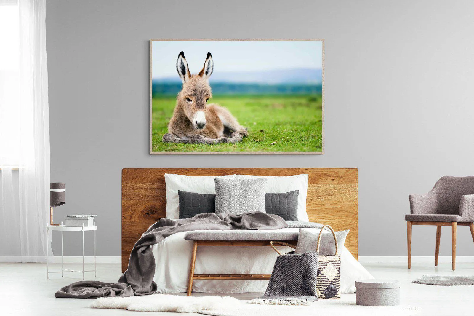 Donkey Foal