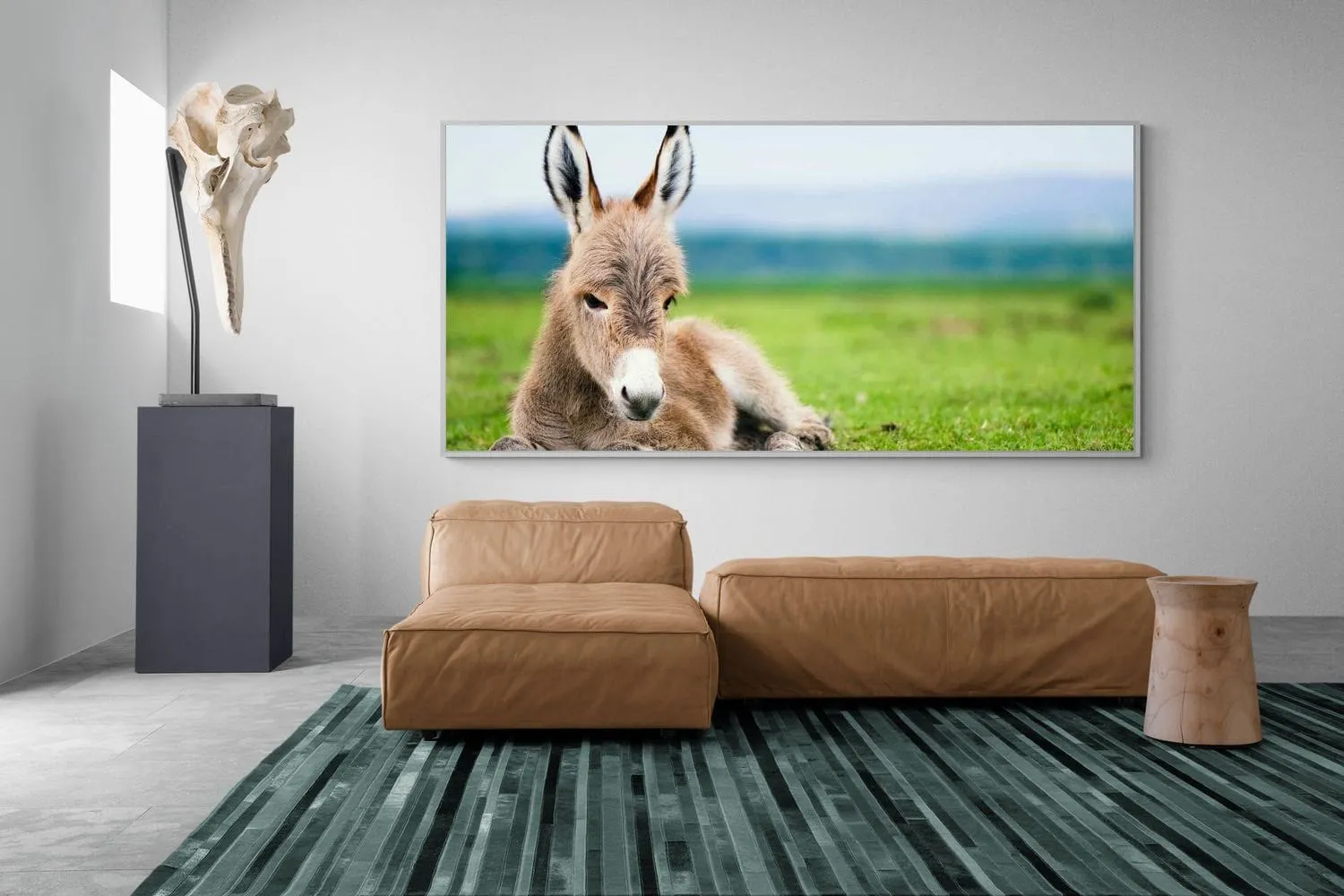 Donkey Foal