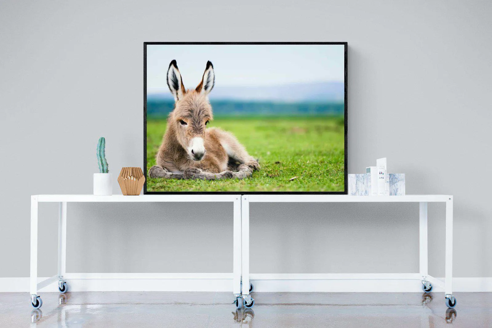 Donkey Foal