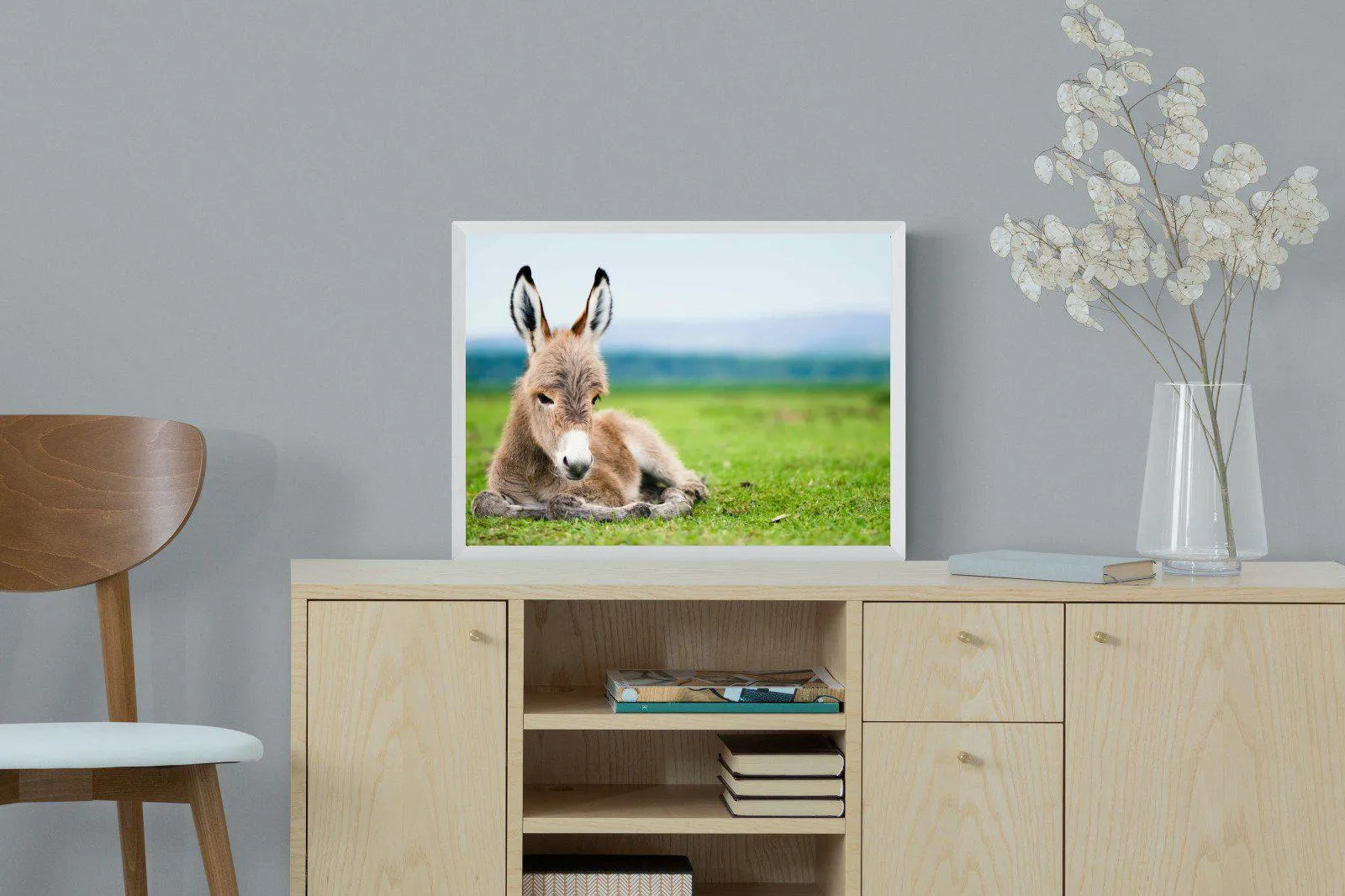 Donkey Foal
