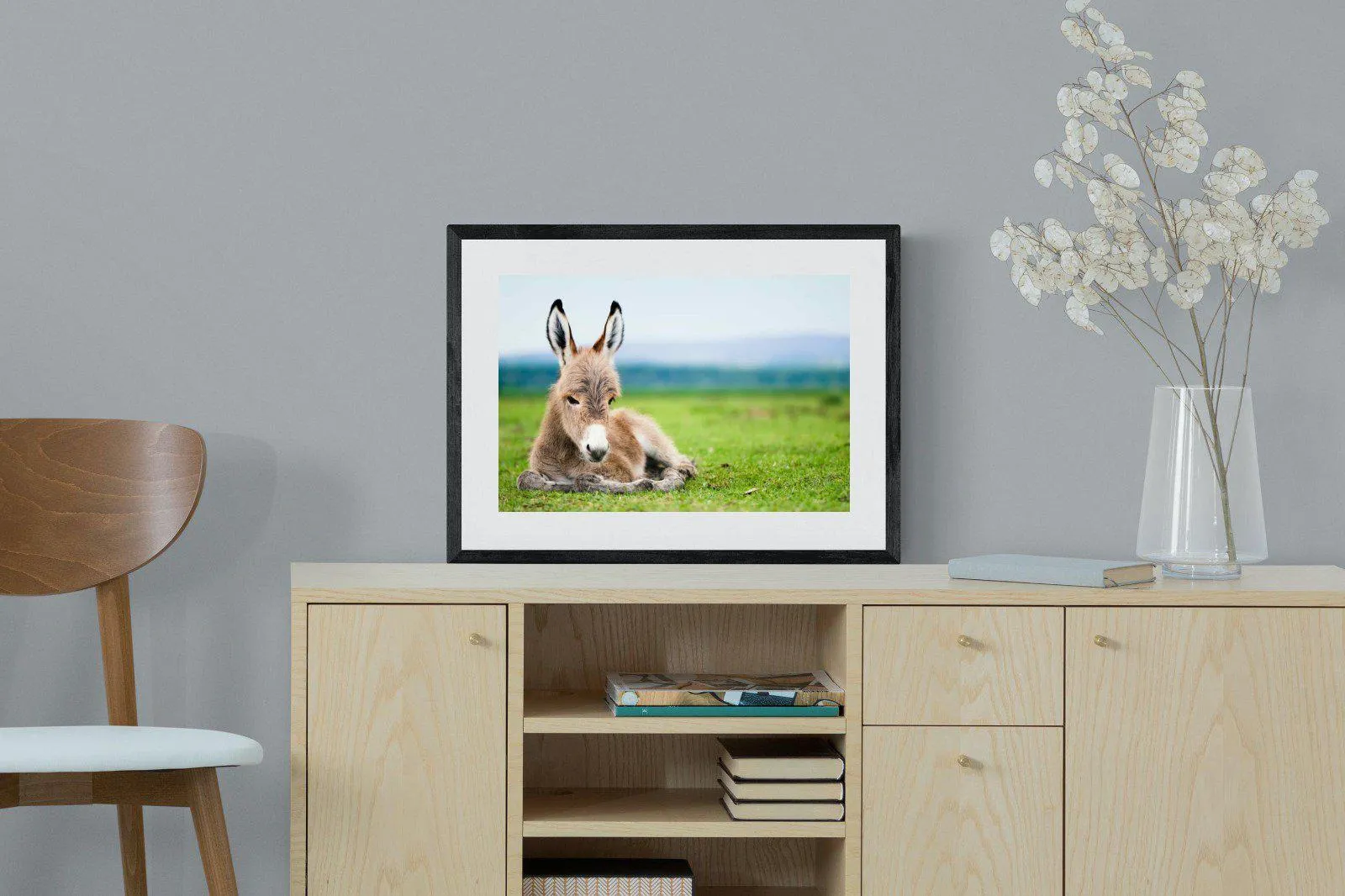 Donkey Foal