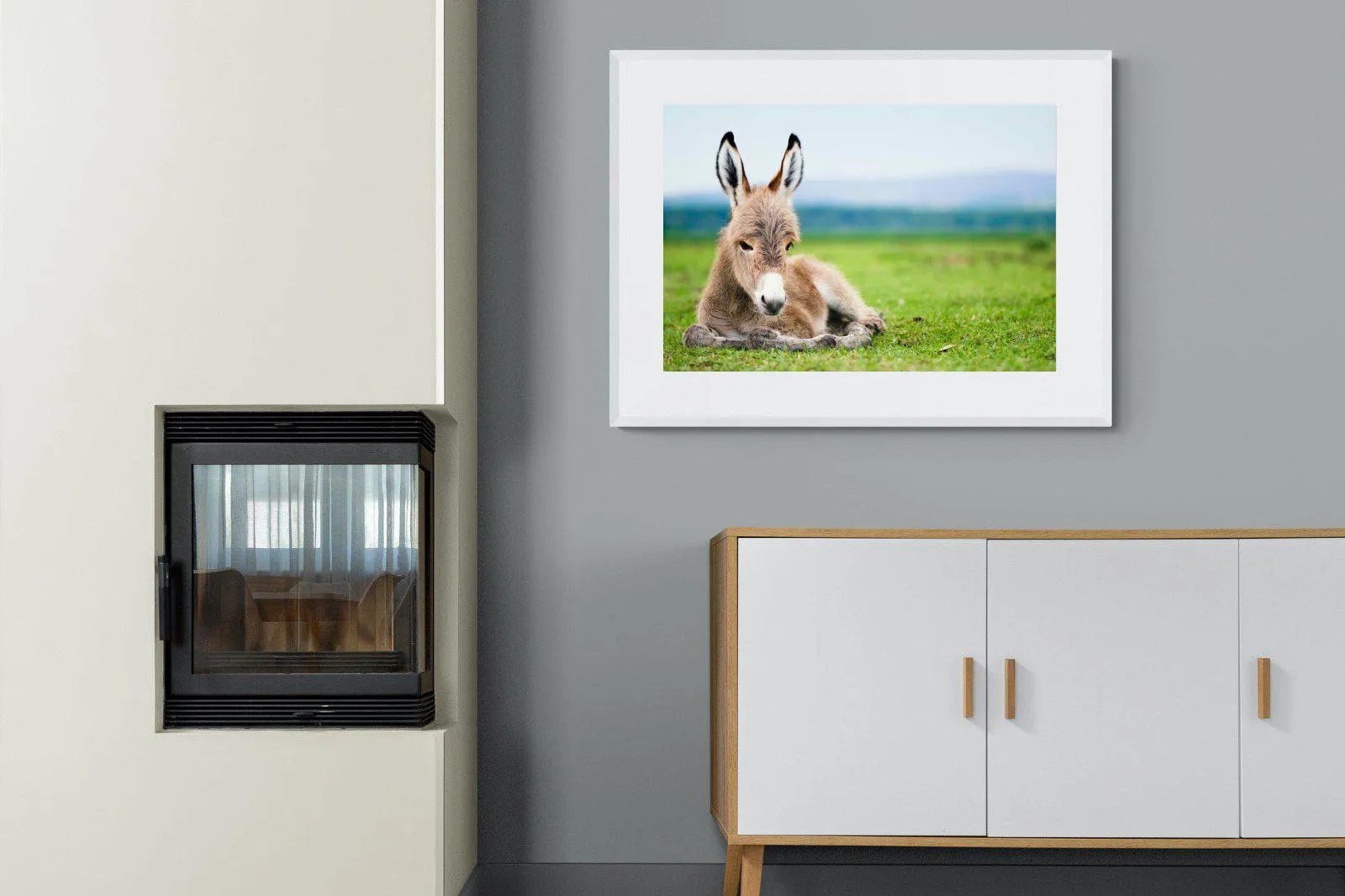 Donkey Foal