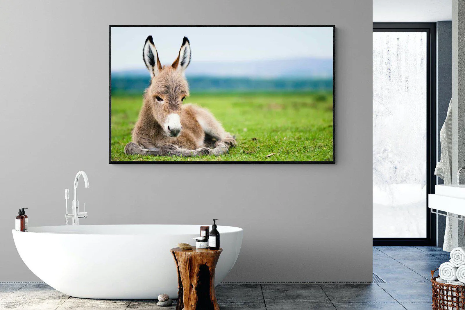 Donkey Foal