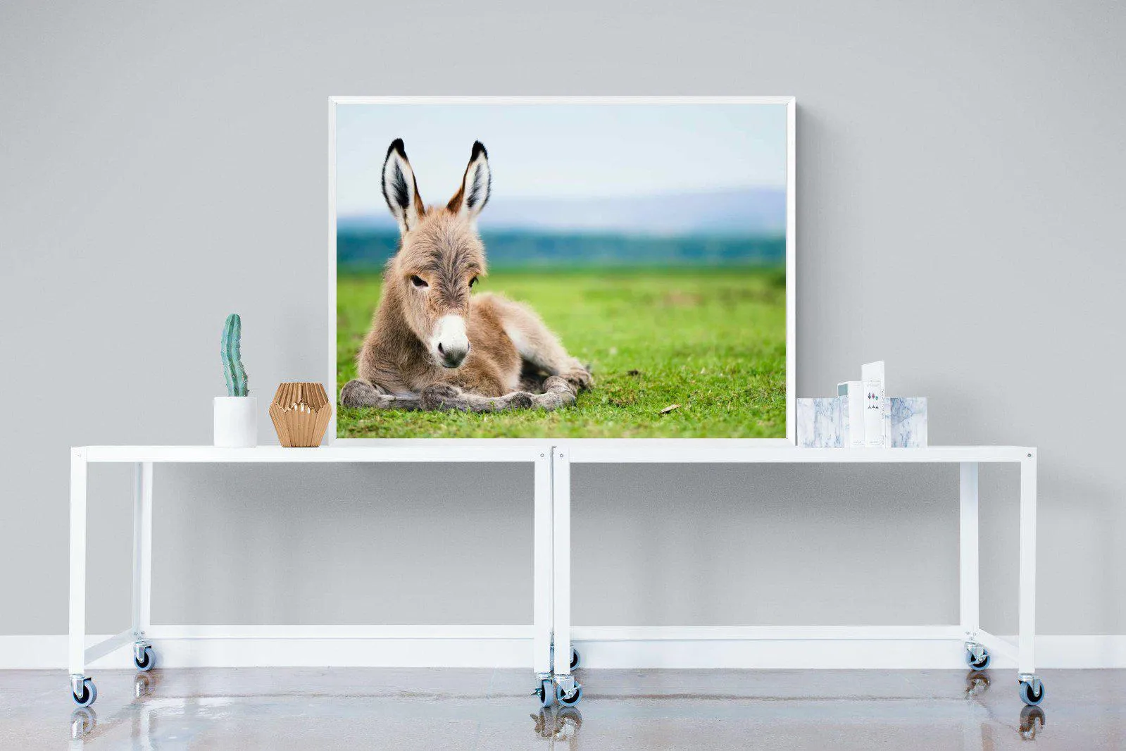 Donkey Foal