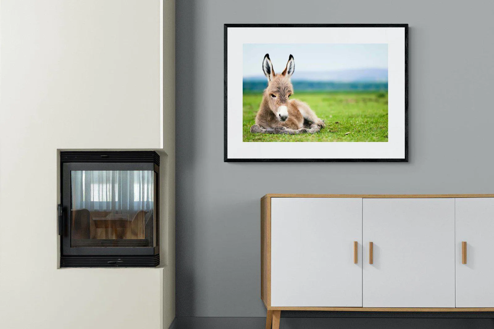 Donkey Foal