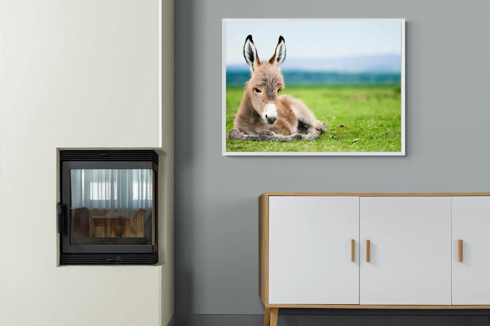 Donkey Foal