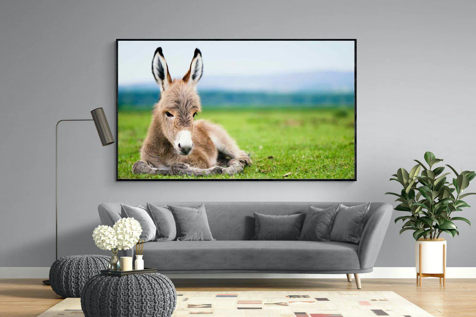Donkey Foal