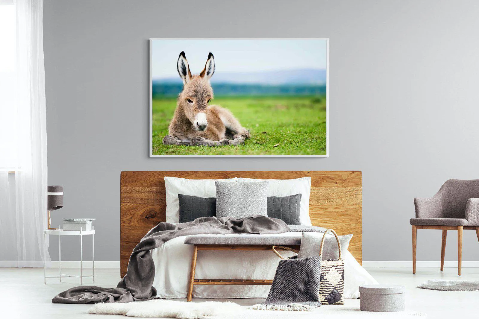 Donkey Foal