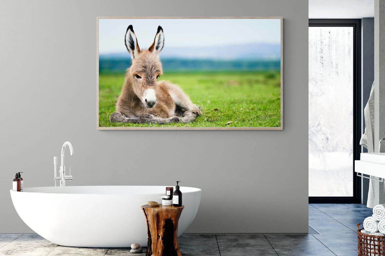 Donkey Foal