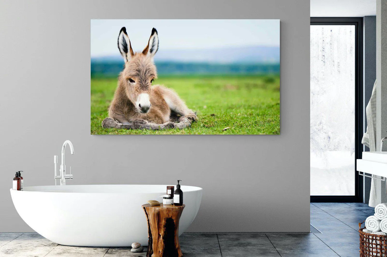 Donkey Foal