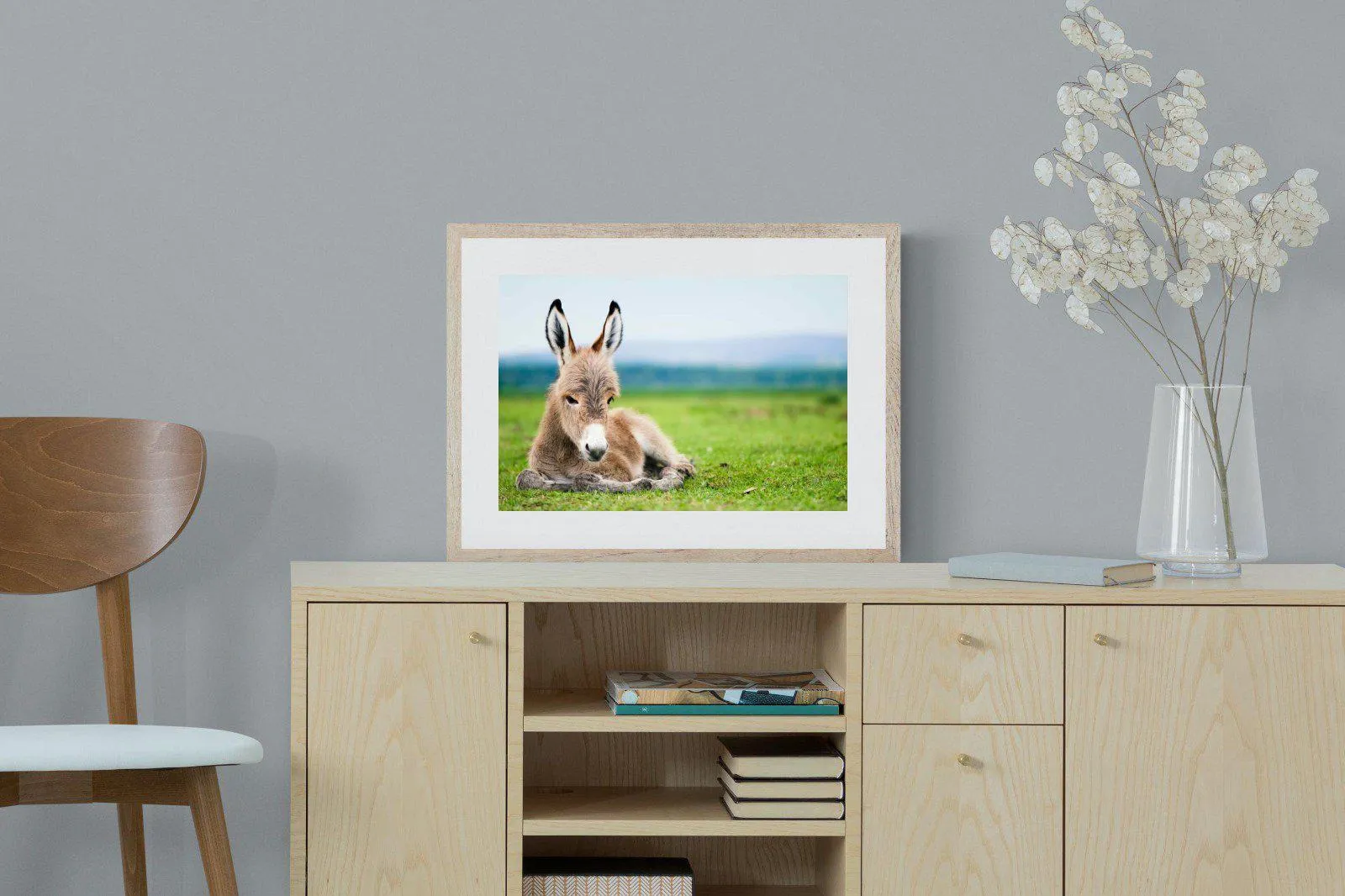 Donkey Foal