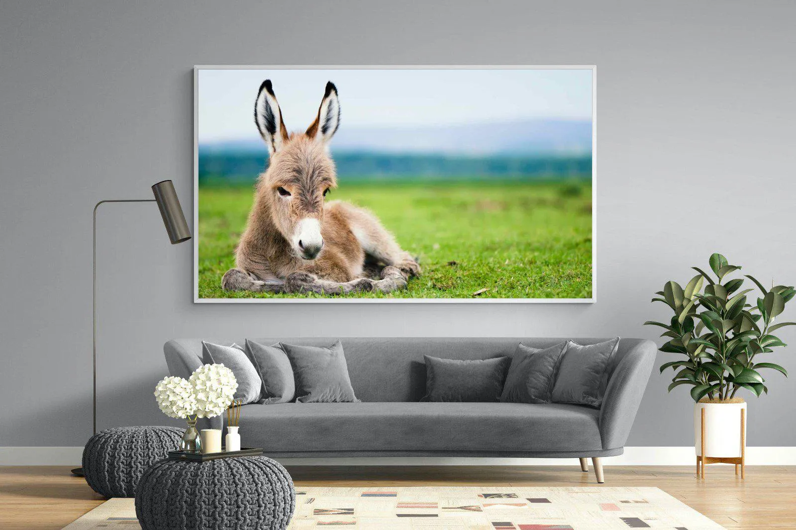 Donkey Foal