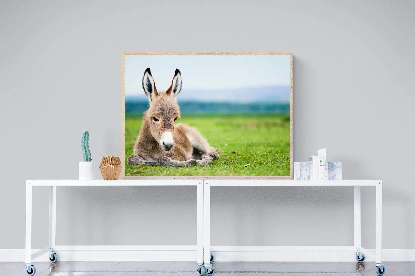 Donkey Foal