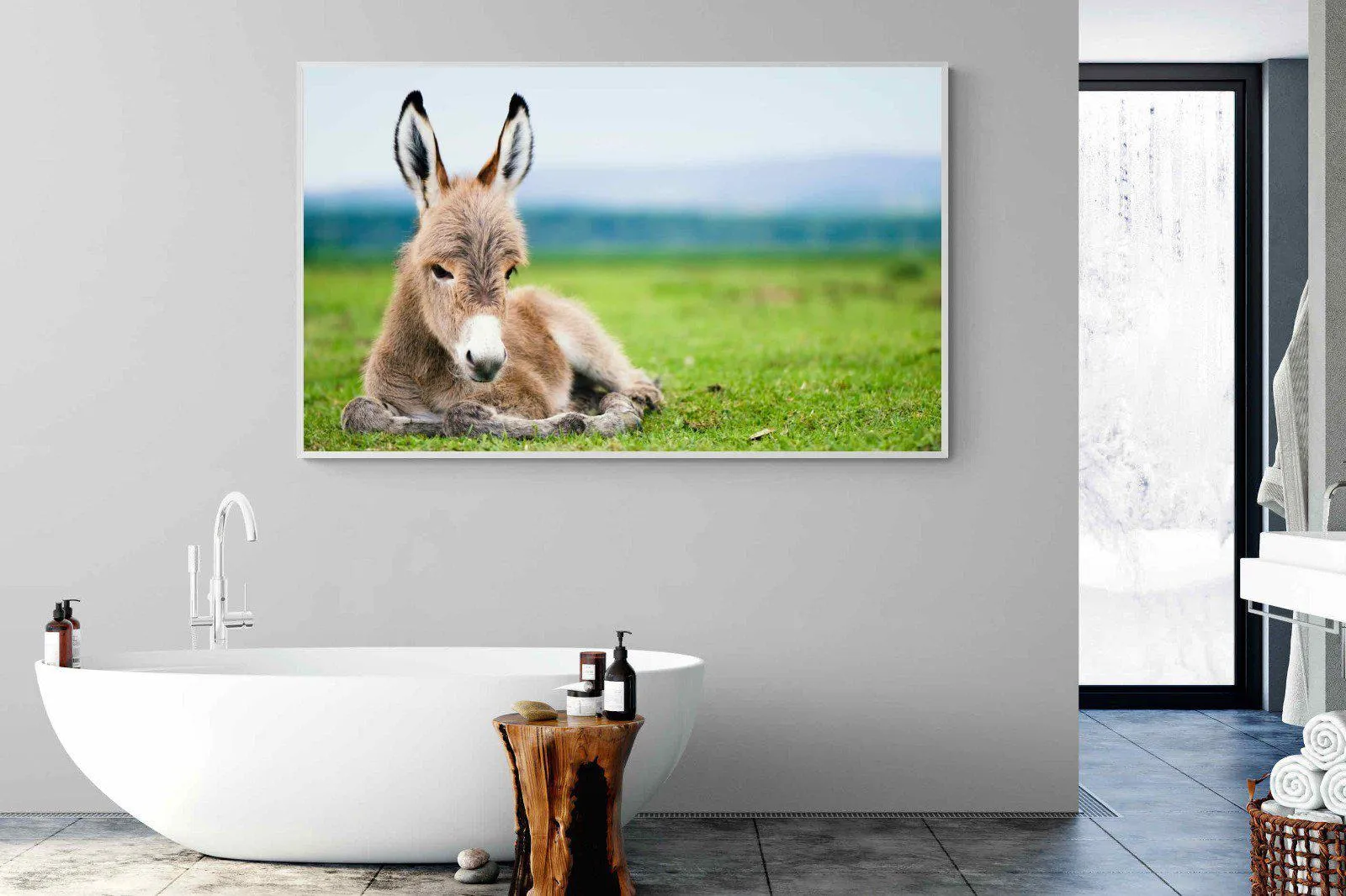 Donkey Foal