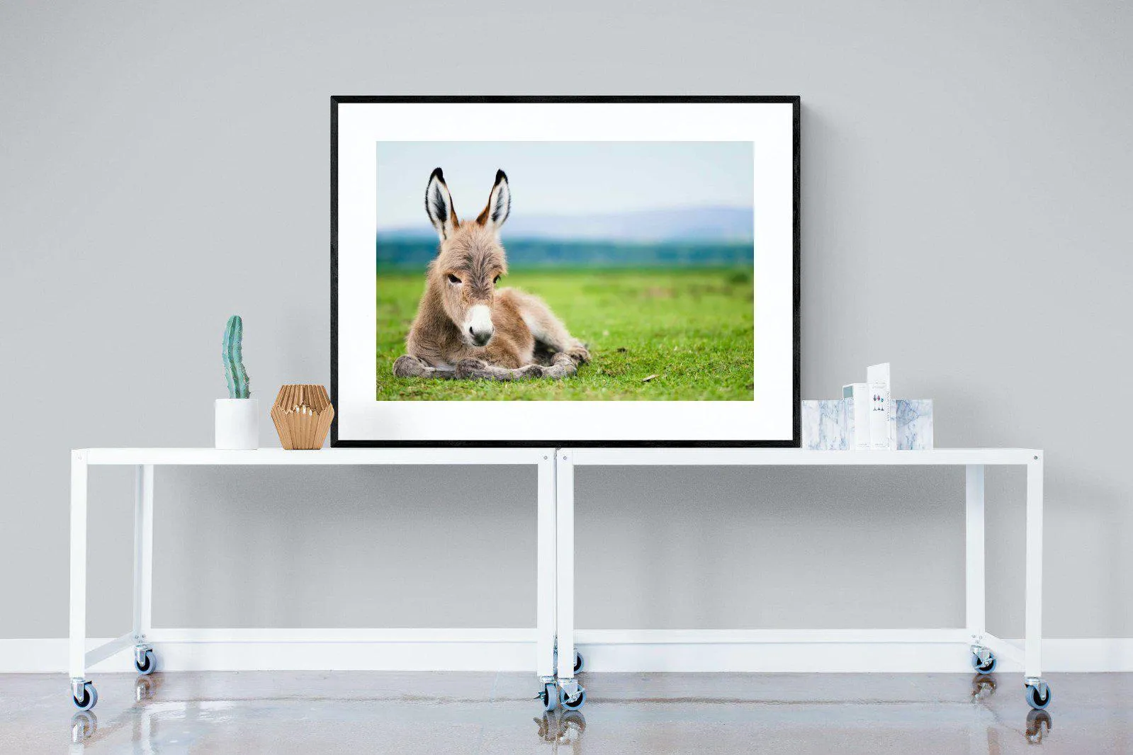 Donkey Foal