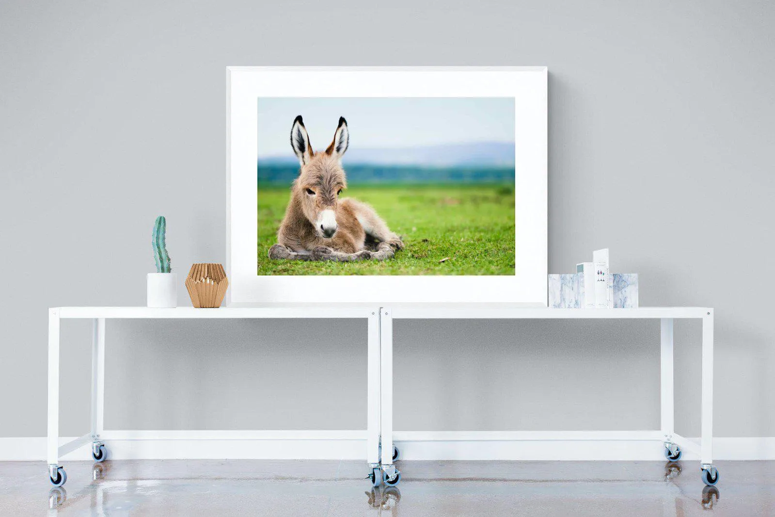 Donkey Foal