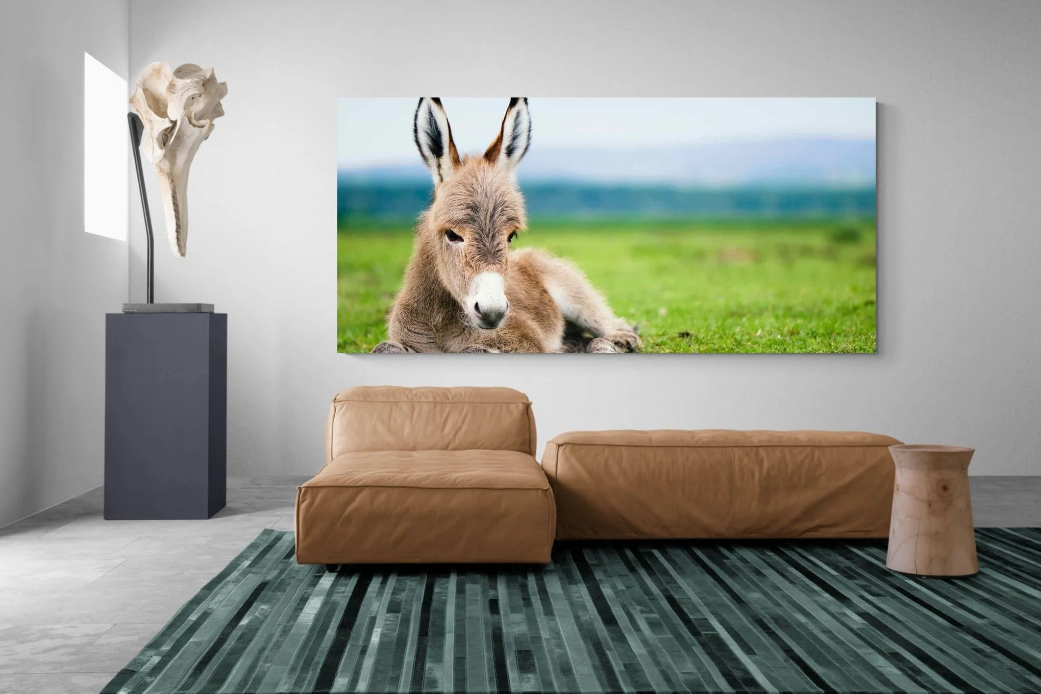 Donkey Foal