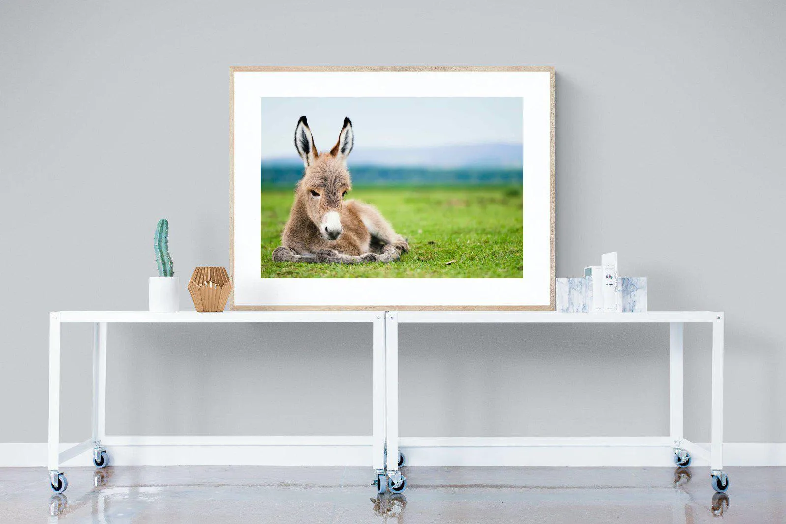 Donkey Foal