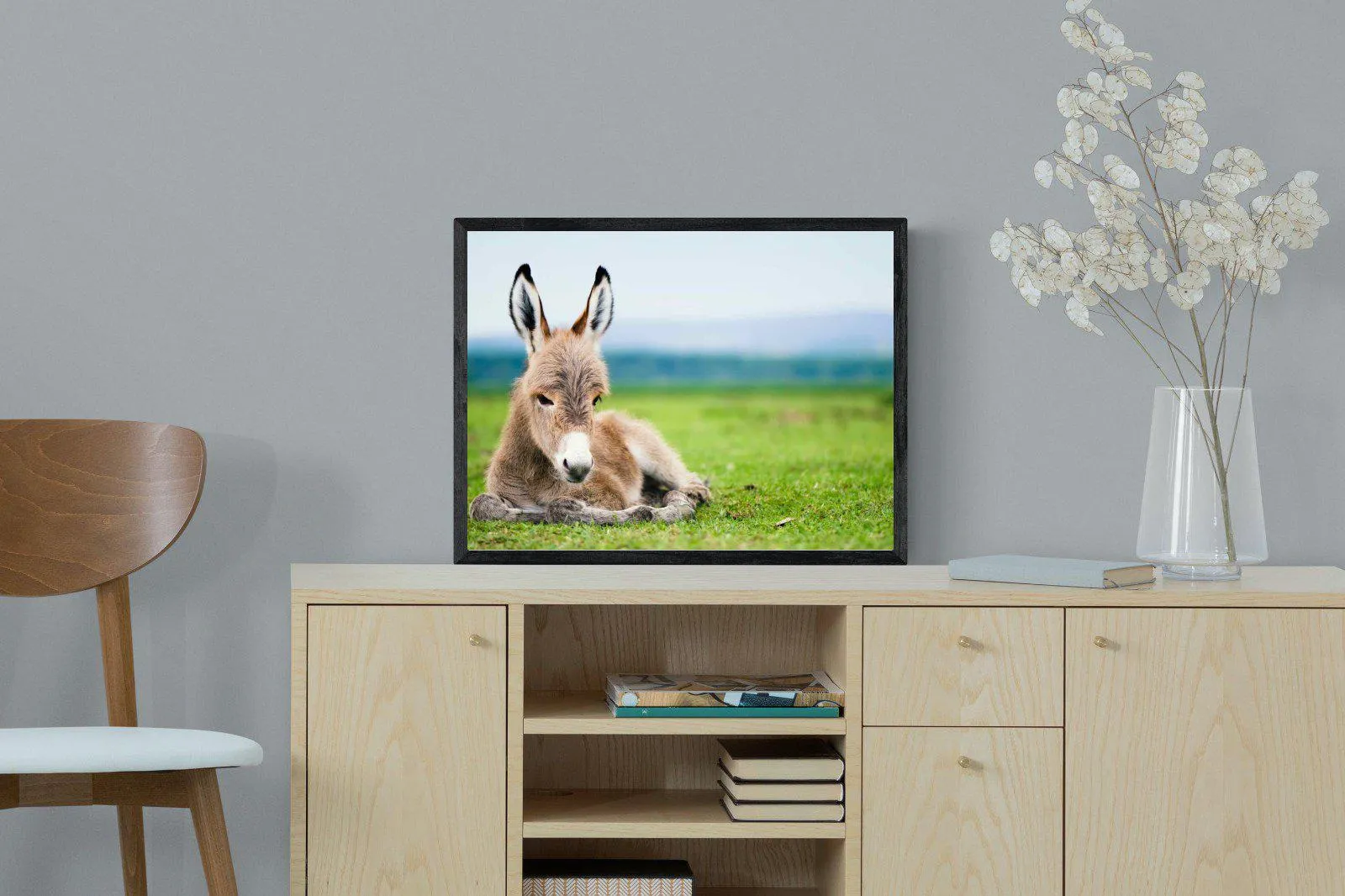 Donkey Foal