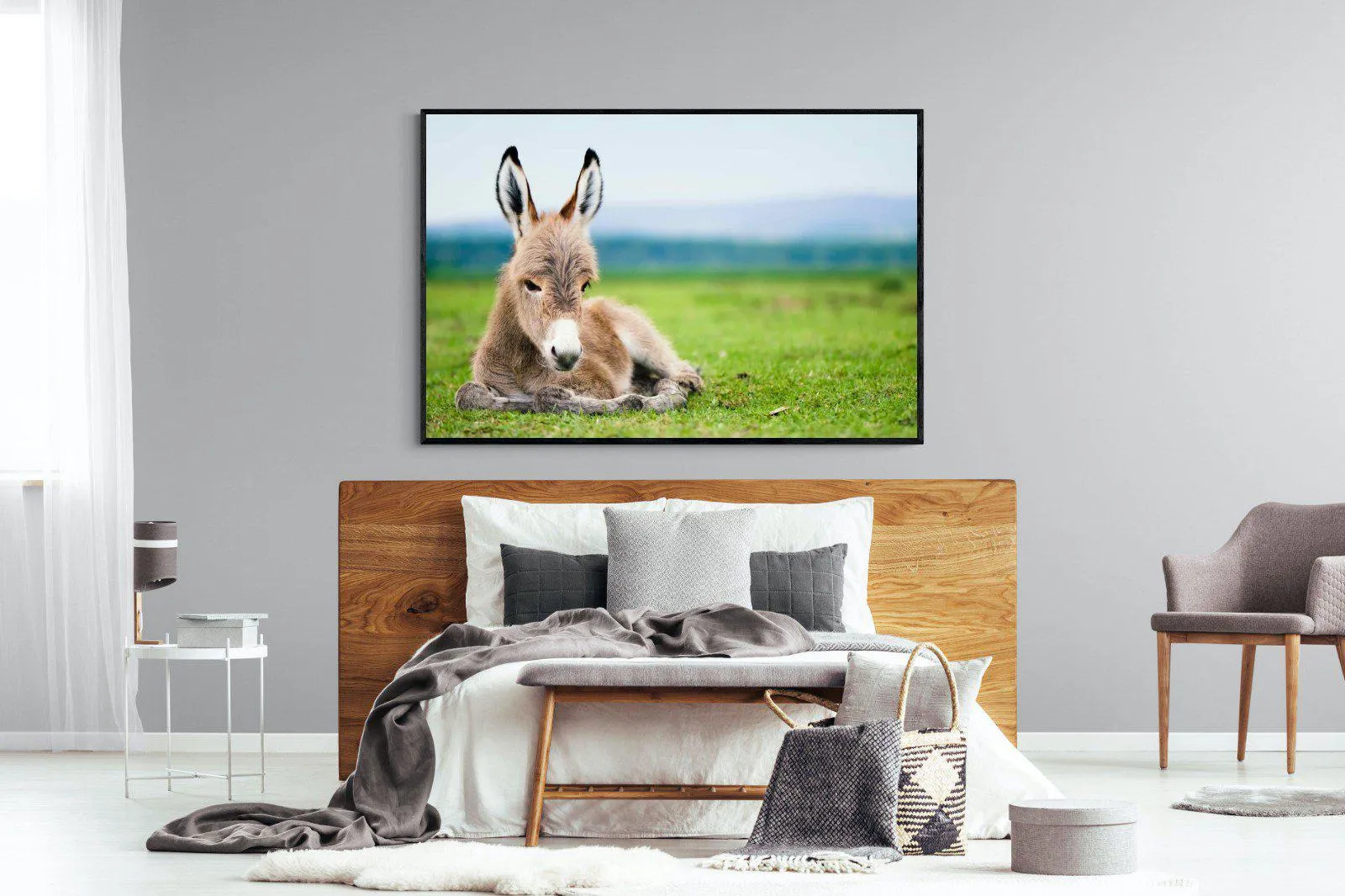 Donkey Foal