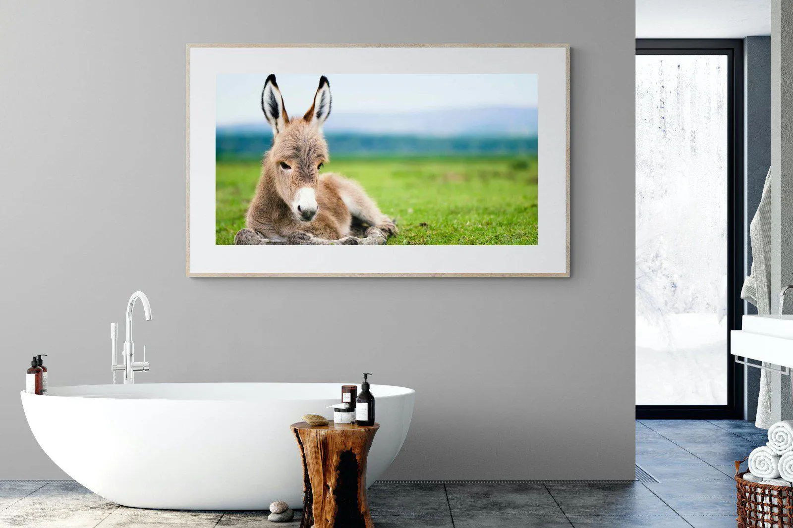 Donkey Foal