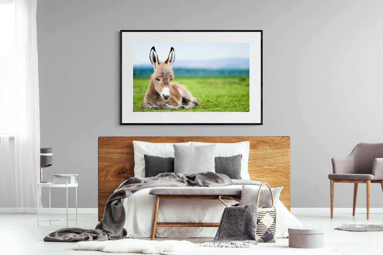 Donkey Foal