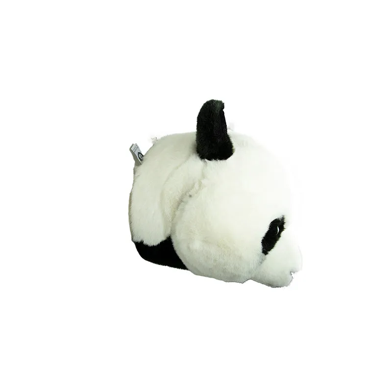 Thomas the panda